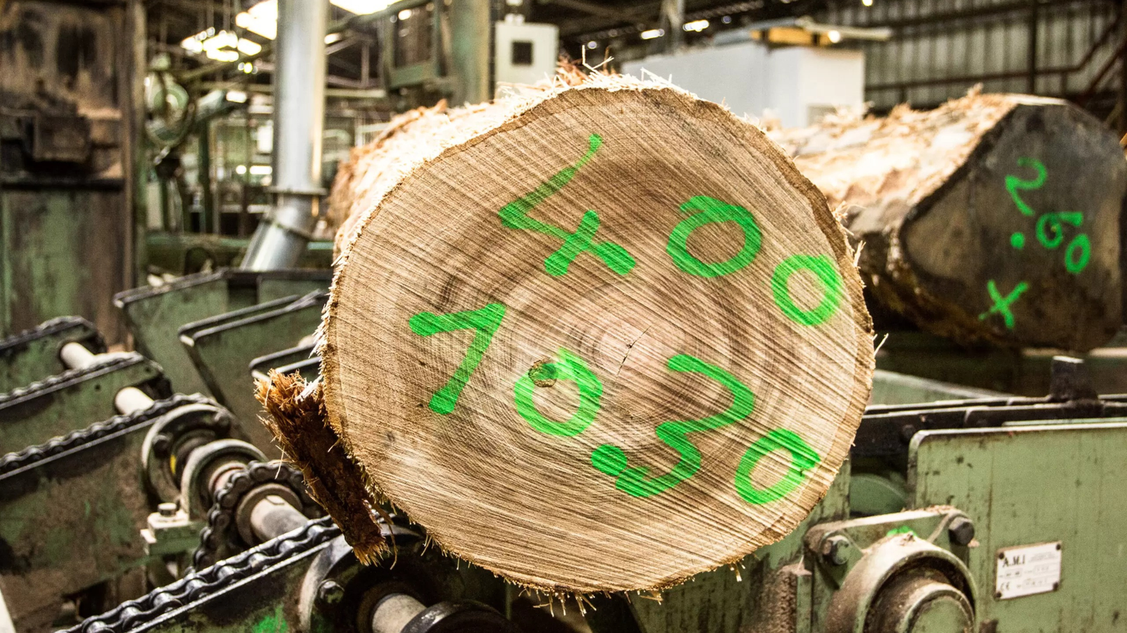 Untitled design (38)